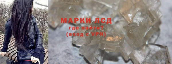 PSILOCYBIN Алзамай