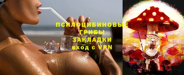 PSILOCYBIN Алзамай