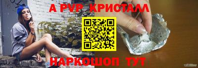 СК Тара