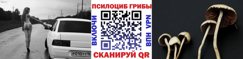 Галлюциногенные грибы Psilocybine cubensis  Иркутск 